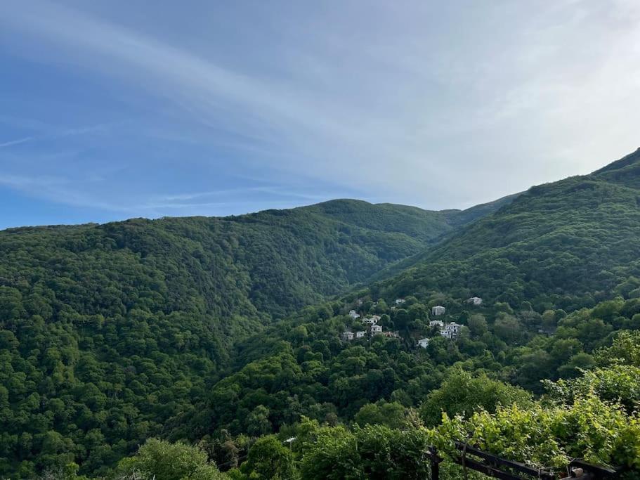 Alexias Holiday home Tsagarada